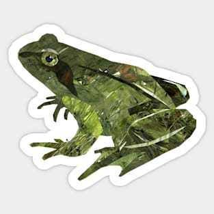 Green Frog Sticker